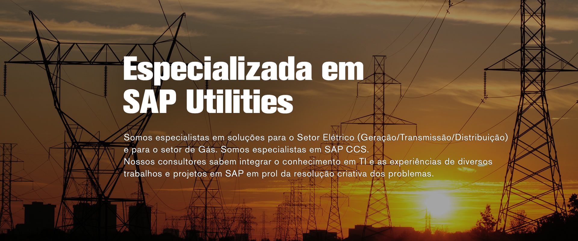 Especializada em SAP Utilities